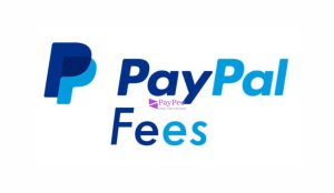 Bagaimana Pajak untuk Pengguna PayPal di Indonesia
